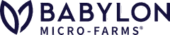 Babylon